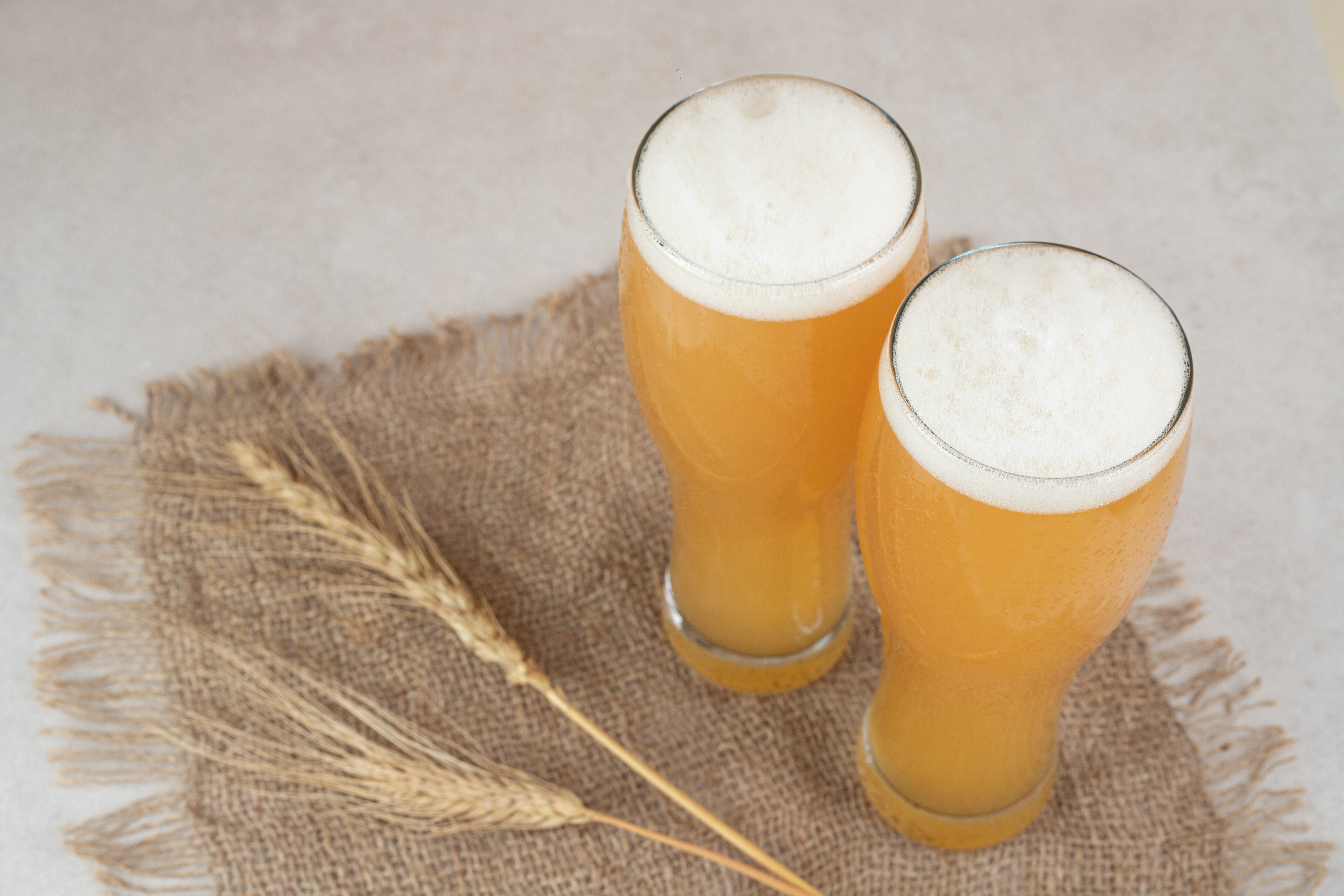 two-glasses-beer-burlap-with-wheat
